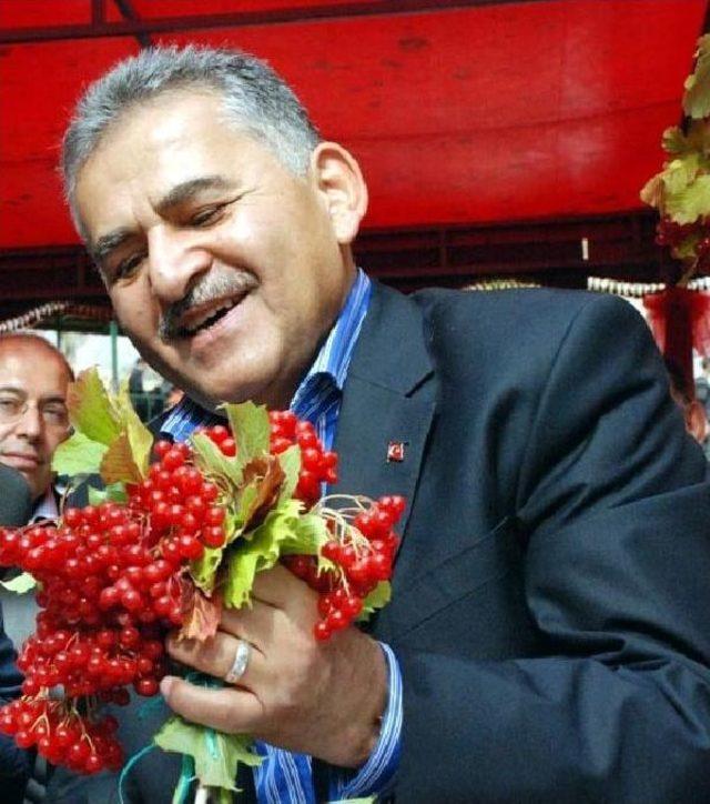 ERCİYES DAĞI NDAKİ ENDEMİK T&Uuml;RLER KORUMA ALTINA ALINACAK 1