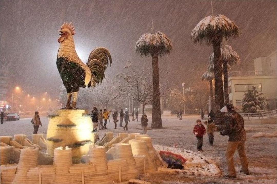 Denizli&rsquo;de Karlı Horoz &Ouml;z&ccedil;ekimi