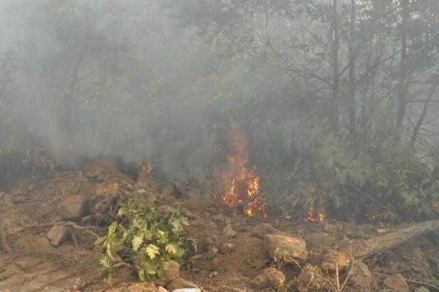 Eskişehir'deki Orman Yangını Kontrol Altında