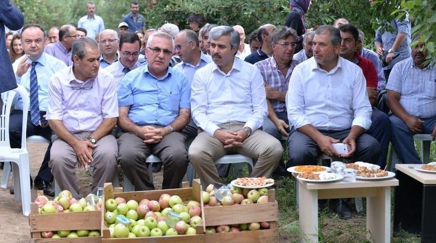 Zirai M&uuml;cadelede, İla&ccedil; Yerine Faydalı B&ouml;cekler Kullanılacak