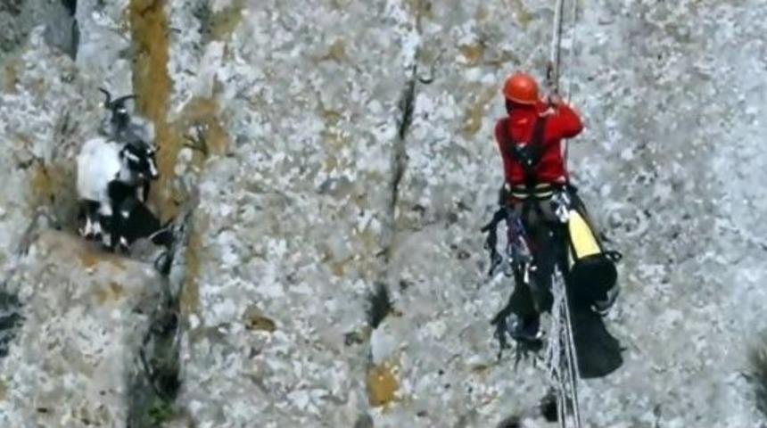 U&ccedil;urumda Mahsur Kalan Ke&ccedil;ilerin Yardımına Akut Yetişti