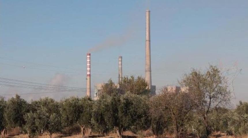 CHP'Lİ &Ouml;ZEL'DEN ZEYTİN AĞA&Ccedil;LARI İ&Ccedil;İN YASA TEKLİFİ