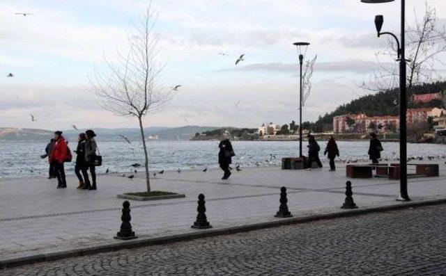 &Ccedil;anakkale de Ada Seferlerine Poyraz Engeli 1