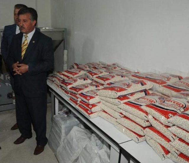 Akkuş Fasulyesi Tescillenince Fiyatı Katlandı 1