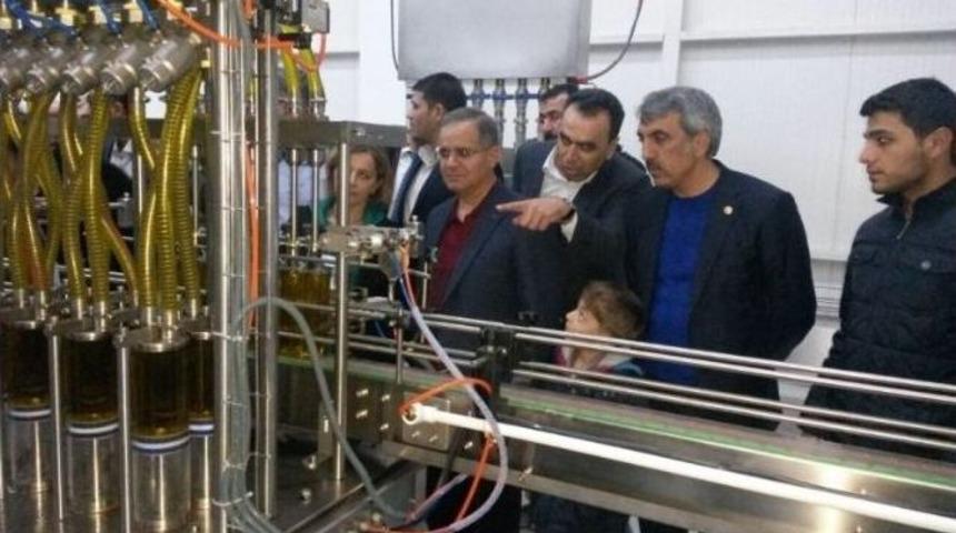 Vali S&uuml;leyman Tapsız Zeytinyağı İşleme Tesisini İnceledi