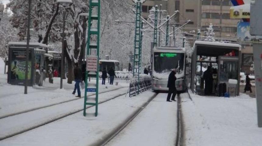 Konya Beyaza B&uuml;r&uuml;nd&uuml;