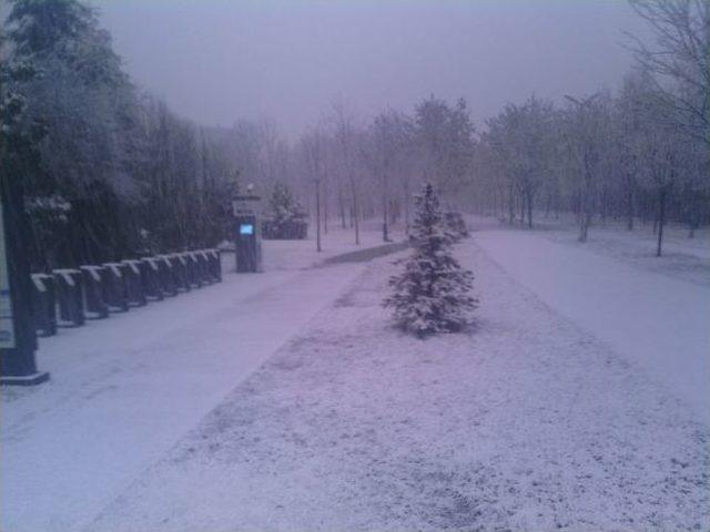 Akıllı Bisikletler Bakıma Alınıyor 1