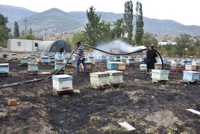 Ardahan'da Kafkas Arısı Gen Merkezi'nde Yangın