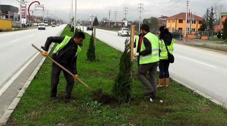D-100 Ağa&ccedil;landırılıyor