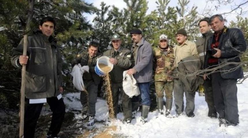 Bilecik’te Yaban Hayvanları İçin Doğaya Yiyecek Bırakıldı
