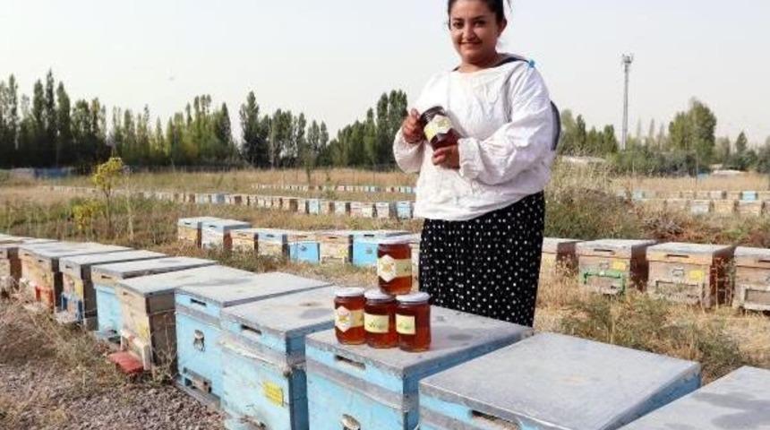 Vanlı Kadın Arıcılar Bal Hasadını Yaptı