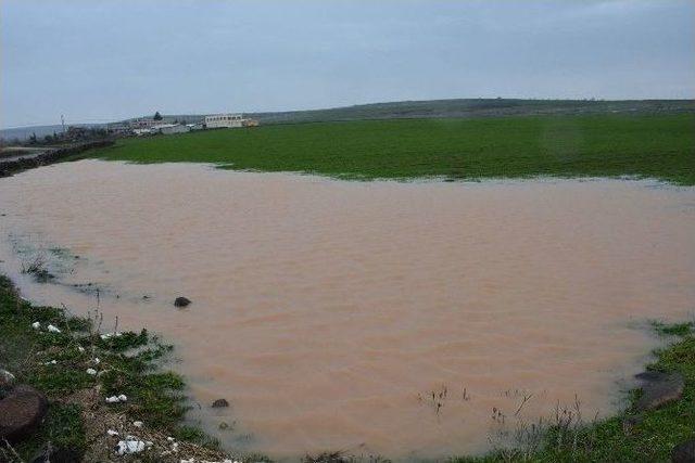 Siverek’te Tarım Arazileri Ve İnşaat Temelleri Su Altında Kaldı