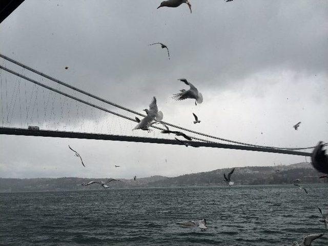 İstanbul Boğazı’ndan 