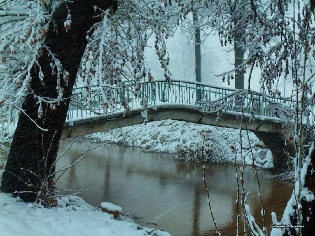 Objektiflere Yansıyan Beyaz G&uuml;zellik
