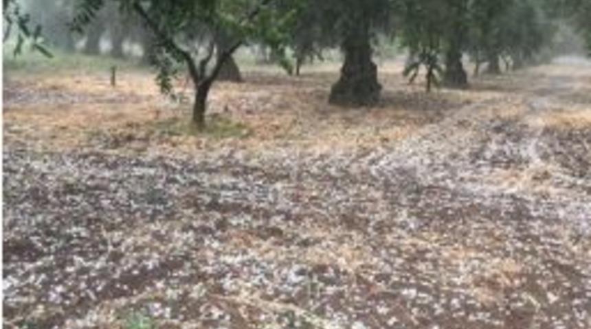 İznik&rsquo;e Dolu Yağdı