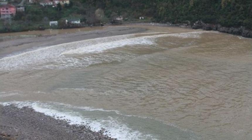 Karadeniz &Ccedil;amur Rengine B&uuml;r&uuml;nd&uuml;
