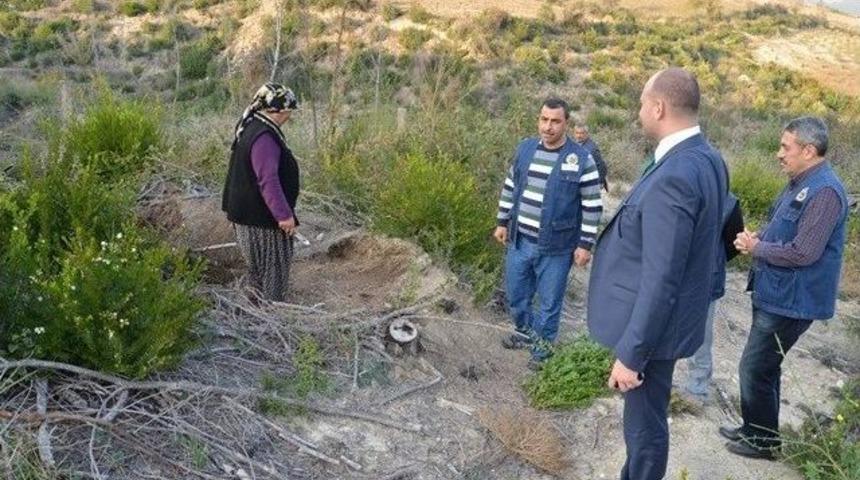 Yanan 454 Hektar Alan Tekrara Ağa&ccedil;landırılıyor