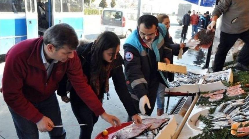 Balık&ccedil;ılara İki Ayda 13 Bin 546 Noktada Denetim Yapıldı