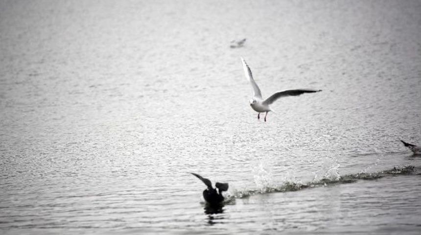 G&ouml;lbaşı&rsquo;nda Kartpostallık Manzaralar