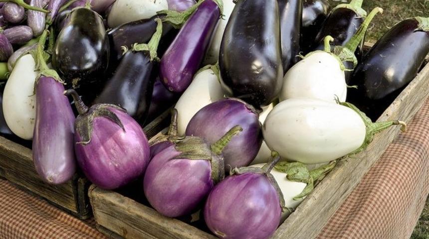 Patlıcanın Faydaları