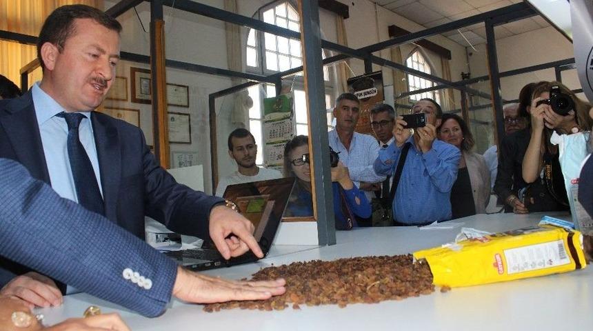 Tmo&rsquo;dan &Ccedil;ekirdeksiz Kuru &Uuml;z&uuml;m Alımı