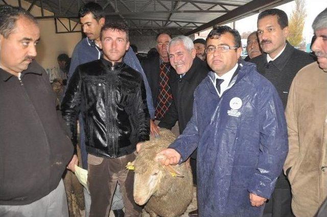 Eskil&rsquo;de 27 &Uuml;reticiye 149 Adet Ko&ccedil; Dağıtıldı 1