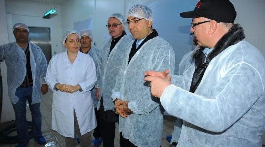 Vali Mustafa Toprak İşletmeleri Yerinde İnceledi