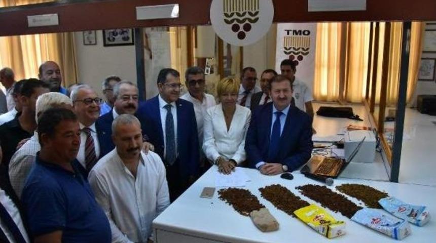 Tmo İzmir Ticaret Borsası&rsquo;Nda Ilk &Uuml;z&uuml;m Alımını Yaptı