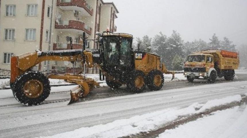 Nil&uuml;fer&rsquo;de Karla M&uuml;cadele