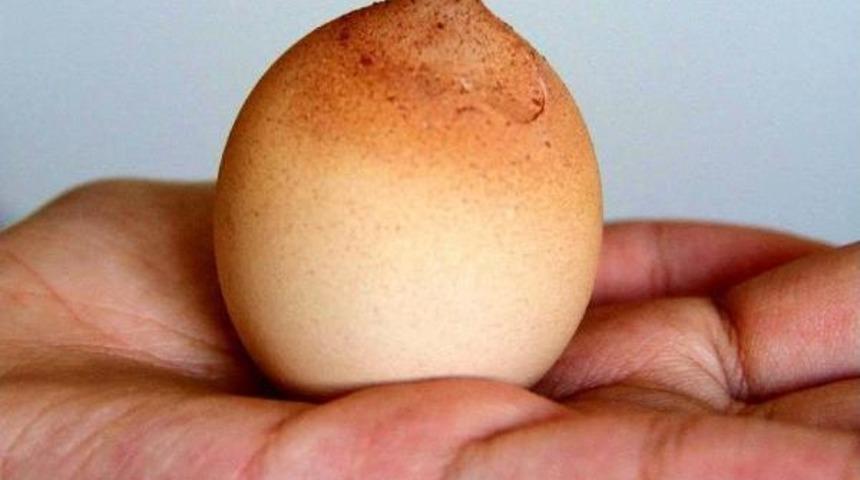 Vazo Şeklindeki Bu Yumurta Şaşırttı