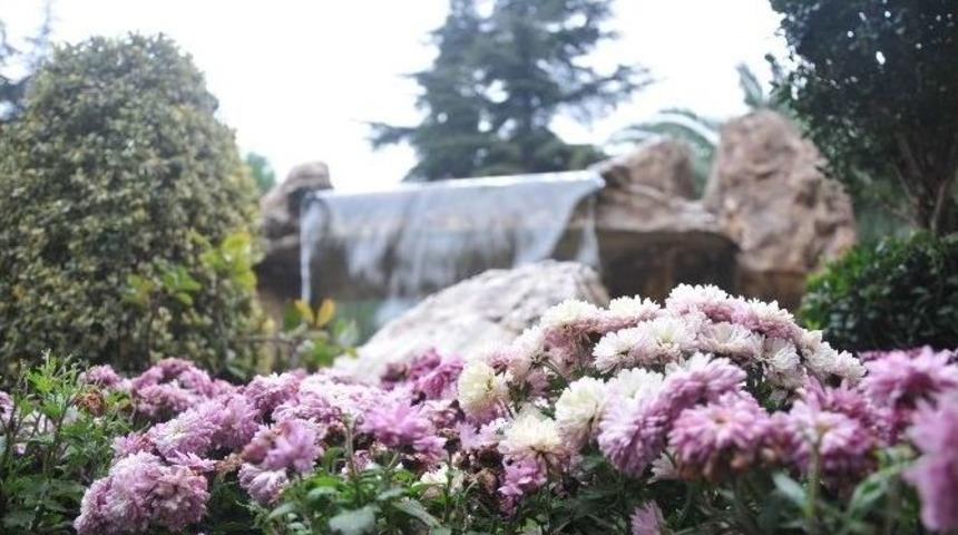 Bağcılar Kış &Ccedil;i&ccedil;ekleriyle Donatıldı