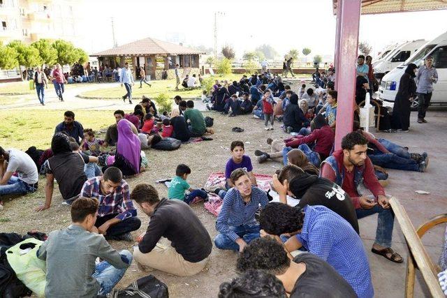 M&uuml;lteciler Hayad&rsquo;a Sığındı 1