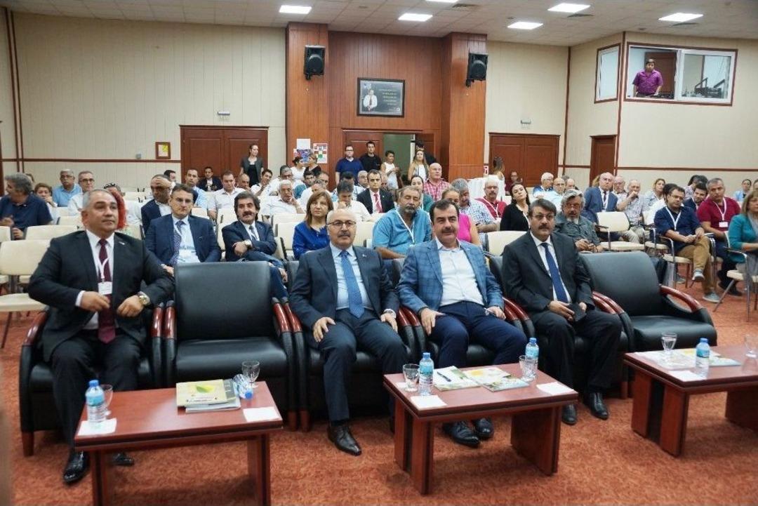 Aydın&rsquo;da Zeytin Ve Zeytinyağı Sekt&ouml;r&uuml;n&uuml;n Sorunları G&ouml;r&uuml;ş&uuml;ld&uuml;