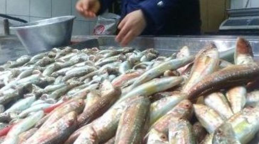 Hamsinin Yokluğu Balık Fiyatlarını Y&uuml;kseltti