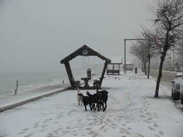 Çatalzeytin Güne Karla Uyandı