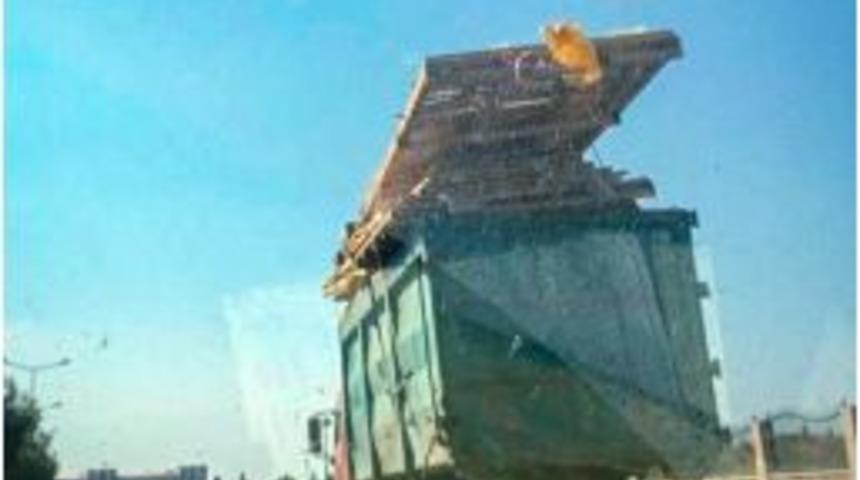 S&uuml;r&uuml;c&uuml;leri Bu Sefer Tahta Paletler Korkuttu