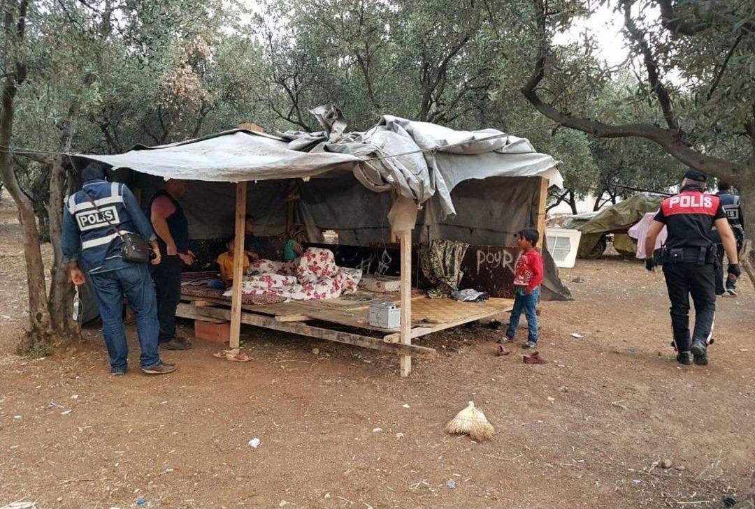 Seher Vakti &Ccedil;adırda Hırsız Operasyonu