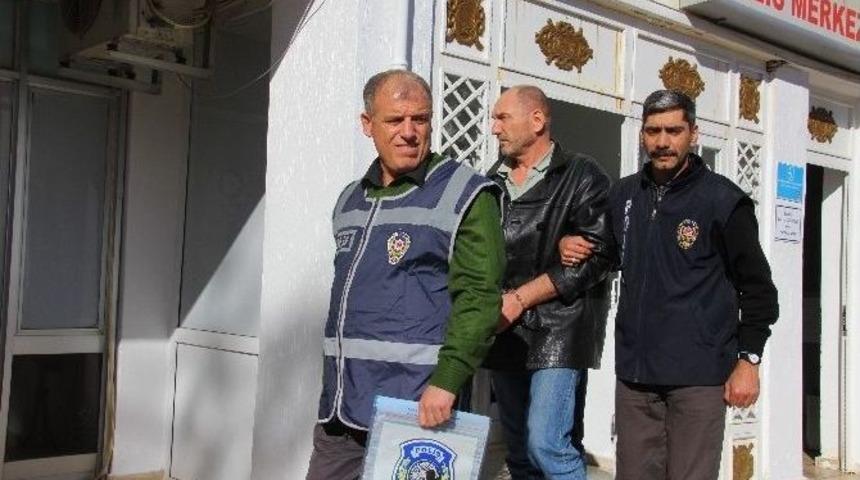 Abd Vatandaşı, Bonzai Sattığı Gerek&ccedil;esiyle G&ouml;zaltına Alındı