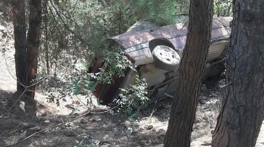 K&ouml;peğe &Ccedil;arpmamak I&ccedil;in Manevra Yapınca &Ouml;l&uuml;mden D&ouml;nd&uuml;