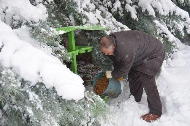 Bilecik&rsquo;te Sokak Hayvanlarına Yardım Eli 1