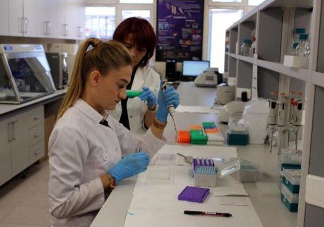 &Ccedil;eltiğin Dna Parmak Izi &Ccedil;ıkarıldı 3