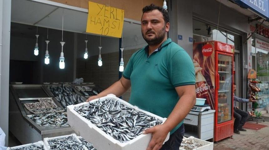 Yerli Hamsi 10 Tl