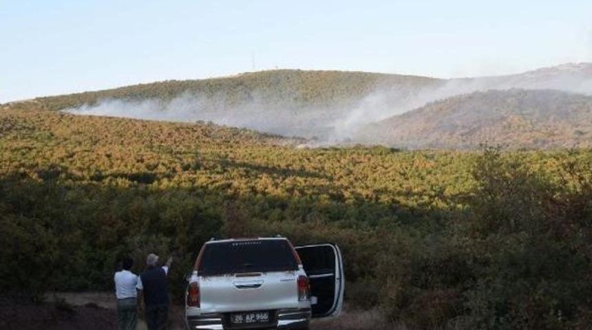 Eskişehir'deki Orman Yangını Kontrol Altında (2)