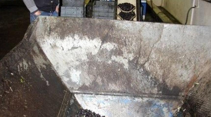 (&ouml;zel Haber) Zeytin Yağı Fiyatları U&ccedil;tu