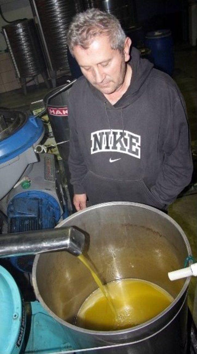 (özel Haber) Zeytin Yağı Fiyatları Uçtu 1