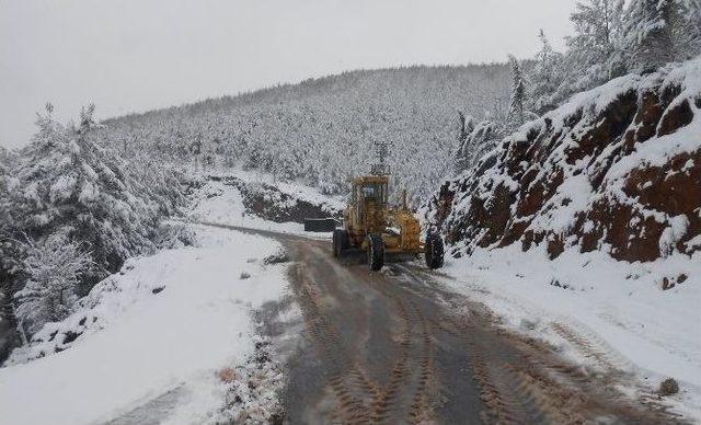 Bozdoğan Beyaz Örtüyle Kaplandı