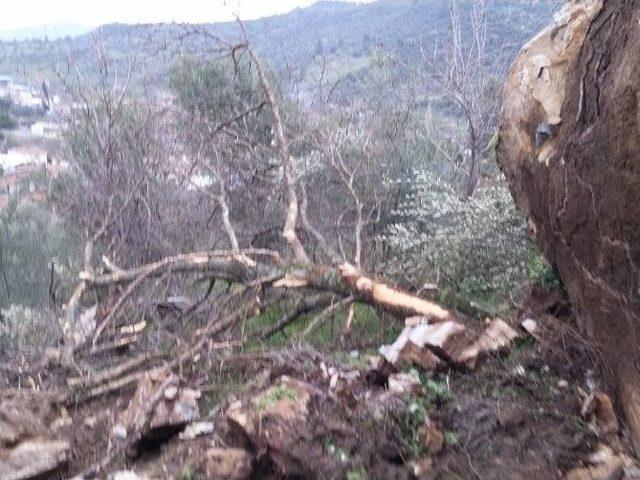 Dağdan Kopan Kaya Eve Metreler Kala Durdu