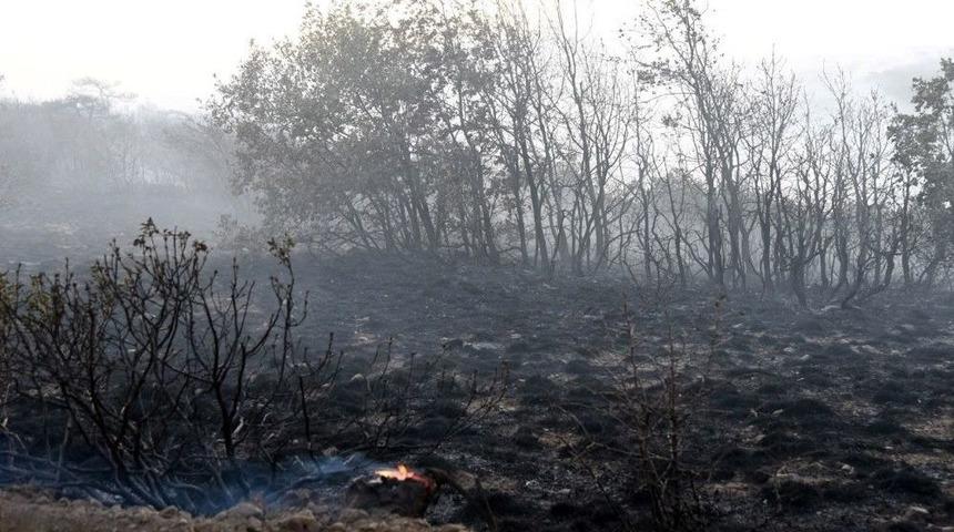 Eskişehir&rsquo;deki Orman Yangınında 45 Hektarlık Alan Zarar G&ouml;rd&uuml;