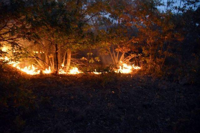 Eskişehir&rsquo;deki Orman Yangınında 45 Hektarlık Alan Zarar G&ouml;rd&uuml; 2