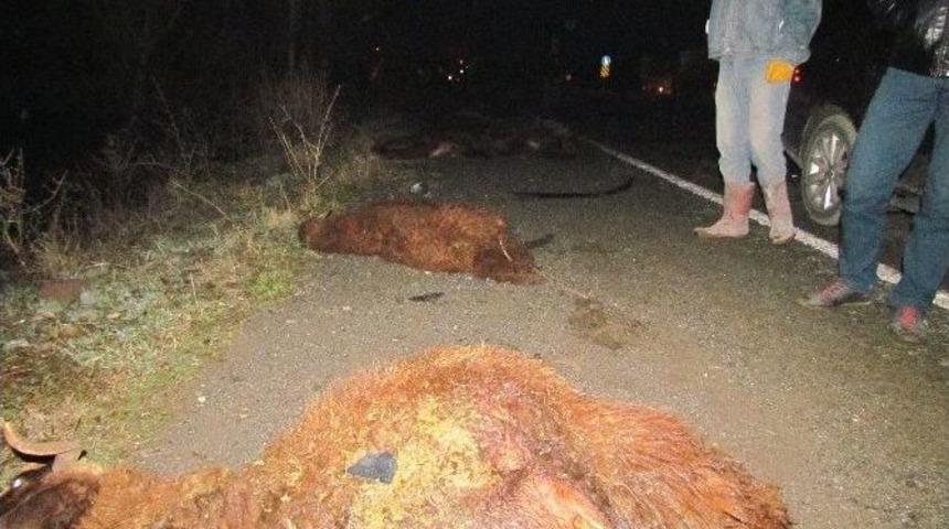 Otomobil S&uuml;r&uuml;ye Daldı, 28 Koyun Telef Oldu